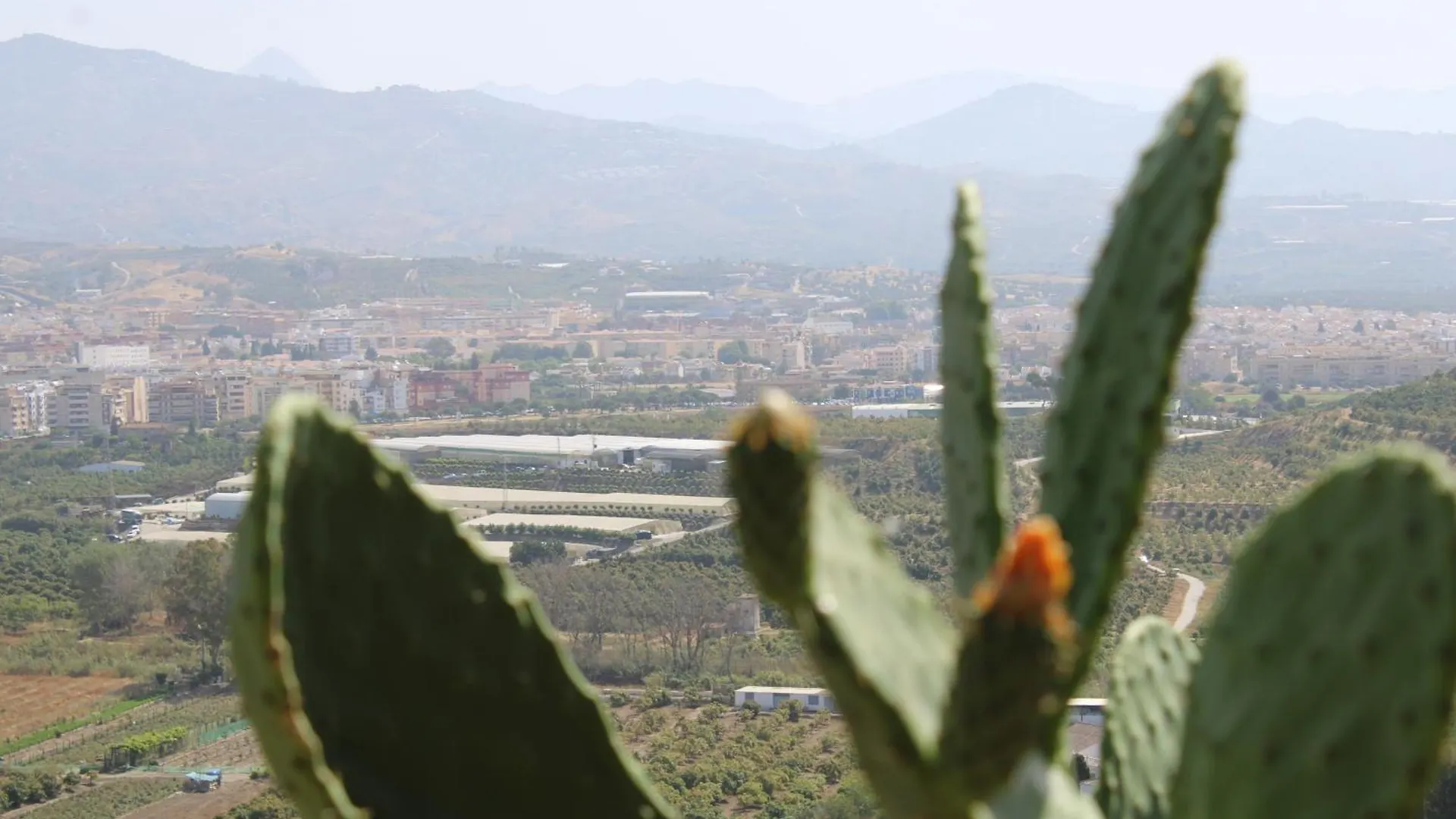 Casa Rural Bellavista Velez Malaga 0*,  İspanya